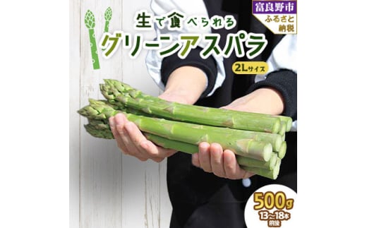 2026年先行予約生で食べられるアスパラ 北海道富良野産 グリーンアスパラガス 2Lサイズ 500g【1400594】北海道富良野市13000野菜・きのこその他 野菜