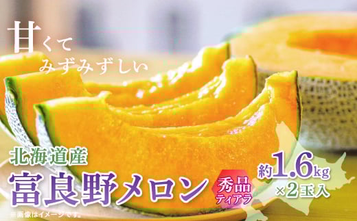 <2026年発送 先行受付>富良野メロン(赤肉)秀品ティアラ1.6kg/2玉入_ メロン 富良野メロン 赤肉 フルーツ 果物 くだもの ふるーつ 青果 ギフト 贈答 国産 北海道 富良野 人気 おすすめ  2玉 甘