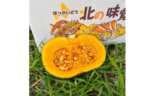 2025年 富良野産 くりゆたか かぼちゃ 10kg【1425899】北海道富良野市11000野菜・きのこその他 野菜