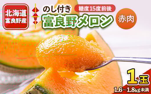 2026年先行予約 <のし付き>富良野メロン 1.6kg〜1.8kg未満 1玉入り【1287203】北海道富良野市13000果物・フルーツメロン・スイカ