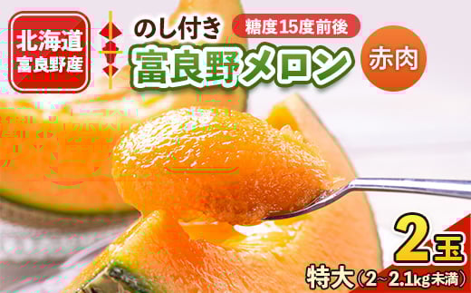 2026年先行予約 <のし付き>富良野メロン 特大2kg〜2.1kg未満 2玉入り【1287249】北海道富良野市22000果物・フルーツメロン・スイカ