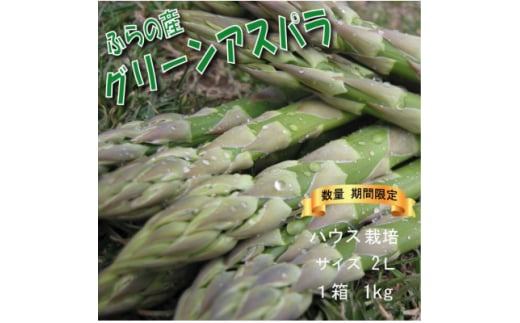 <数量・期間>ふらの産 グリーン アスパラ ハウス栽培 1kgサイズ2L【1470143】北海道富良野市19000野菜・きのこその他 野菜