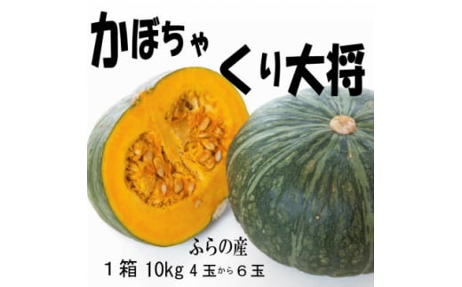<2026年発送先行受付><数量・期間>ふらの産 かぼちゃ 1箱10kg(くり大将南瓜) 【1473419】北海道富良野市17000野菜・きのこその他 野菜