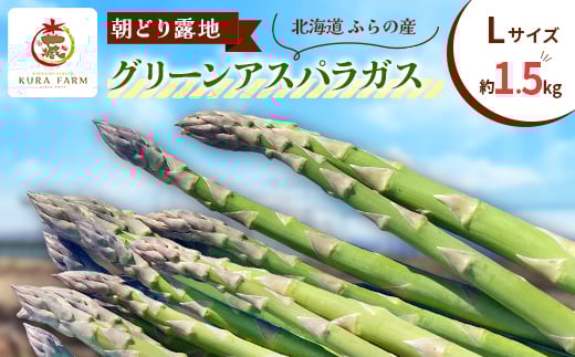 <2026年発送>ふらの産 朝どり露地グリーンアスパラガス(Lサイズ 約1.5kg)〈藏ファーム〉【1503000】北海道富良野市19000野菜・きのこその他 野菜