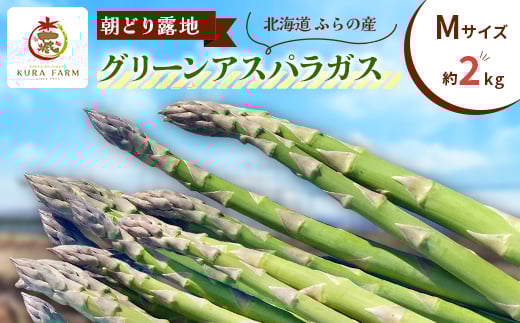 <2026年発送>北海道ふらの産 朝どり露地グリーンアスパラガス(Mサイズ 約2kg)〈藏ファーム〉【1503025】北海道富良野市19000野菜・きのこその他 野菜