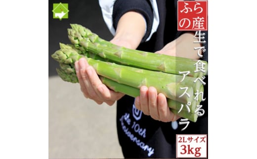 2026年先行予約 「生」で食べられる!北海道富良野産 グリーンアスパラ 3kg(極太2Lサイズ)【1499805】北海道富良野市40000野菜・きのこその他 野菜