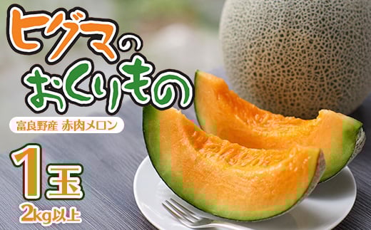 <2026年発送先行受付>ヒグマのおくりもの 富良野メロン (赤肉) 1玉 2s以上_メロン 富良野 北海道 ふらのメロン 1玉 フルーツ 赤肉 果物 くだもの 人気 おすすめ  贈答 ギフト【1519706】北海