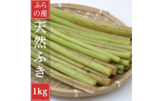 2026年先行予約 北海道富良野産 天然物 蕗 (ふき)1kg【1522299】北海道富良野市11000野菜・きのこその他 野菜
