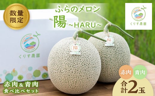 <2026年発送>ふらのメロン「陽 〜HARU〜」赤肉&青肉 食べ比べセット(各1玉合計4kg以上)【1576581】北海道富良野市20000果物・フルーツメロン・スイカ