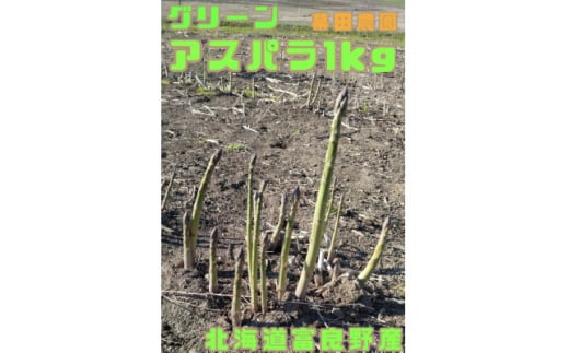 <2026年発送>北海道 富良野産 グリーンアスパラ 無選別 約1kg【1611749】北海道富良野市10000野菜・きのこその他 野菜