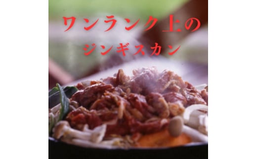 富良野ジンギスカンひつじの丘 3種セット【1601175】北海道富良野市31000肉ジビエ