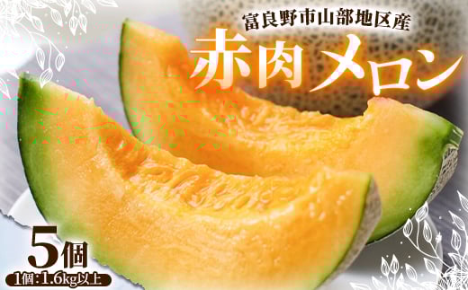 xǖsRnY ԓ 5(11.6kgȏ)y1620057zkCxǖs29000ʕEt[cEXCJ