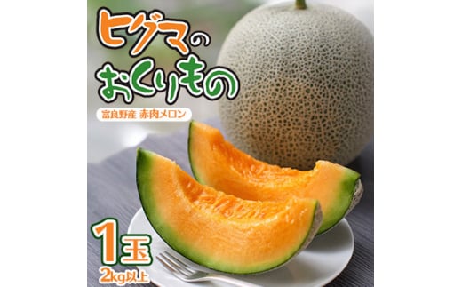 <発送月固定定期便>ヒグマのおくりもの 赤肉メロン・ヒグマのごちそう すいか 各1玉全2回_メロン 西瓜 すいか 定期便 赤肉 フルーツ くだもの 果物 人気 おすすめ  北海道 富良野【4068414