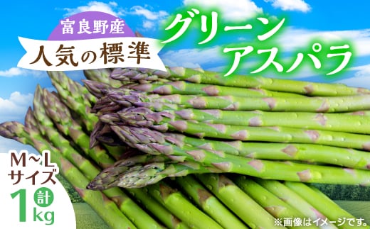 <先行受付><2026年発送>富良野産アスパラ1kg人気の標準(M〜L)サイズ_アスパラ アスパラガス 野菜 やさい 北海道 富良野 人気 おすすめ  贈答 ギフト 1kg【1632454】北海道富良野市12000野菜・