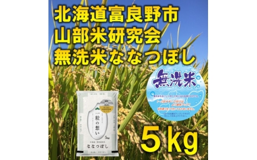 <発送月固定定期便>◆令和7年産先行受付◆<無洗米>特A受賞!富良野市産ななつぼし 精米5kg全6回【4000349】北海道富良野市96000米・パン無洗米