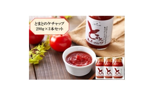 kCYg}ggpӂ Ƃ܂Ƃ̃P`bv 290g×3{y1670262zkCxǖs13000E