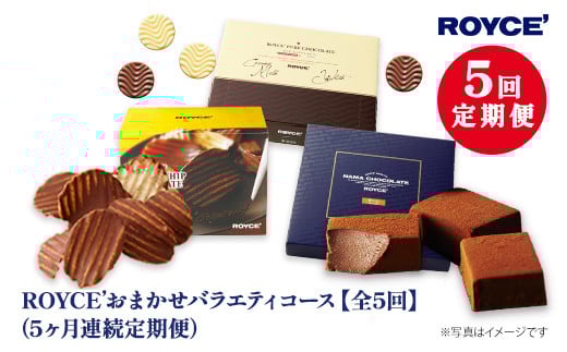 [10-10]@ROYCE'܂oGeB5JR[X | CY `R `R[g XC[c َq  Mtg lߍ킹  kC yY   kCʒ100000َqEXC[c