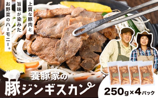 [0.65-305] {؉Ƃ̓؃WMXJZbg 250g×4PZbgؓ  I Y I  O   X}C |[N Hi y ȒP Ⓚ Lv BBQkCʒ6500ؓ