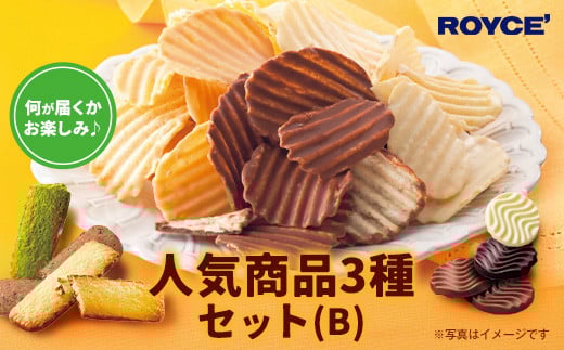 [1.1-271]ROYCE' lCi3ZbgiBjkCʒ11000َqEXC[c̑ mَq