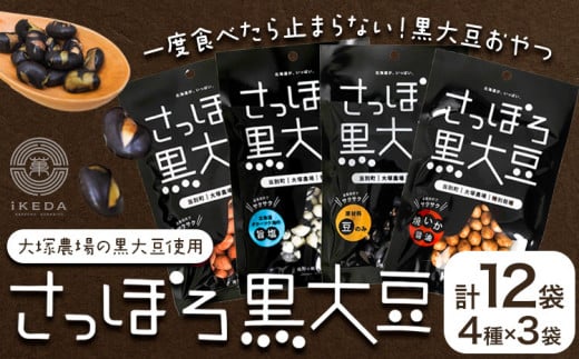 [1.2-104]@˔_Yʍ͔|哤gpBrcHiwۂ덕哤x4Zbg st-pkCʒ12000َqEXC[c̑ aَq