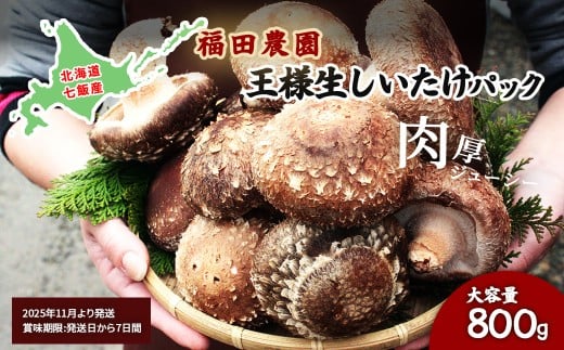 y2025N11蔭zlpbN e800g c_ y ӂ邳Ɣ[ lC  LO  l l VC^P ő kC ђ  z NAT004kCђ