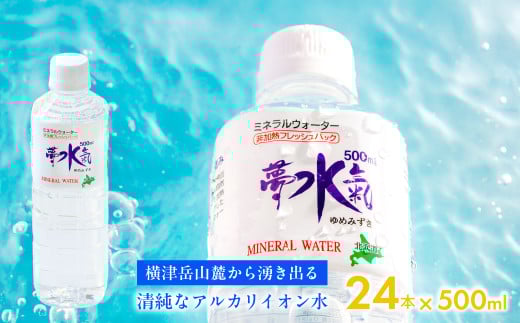 ミネラルウォーター夢水氣(500ml×24本) 天然アルカリイオン水 軟水 【ふるさと納税 人気 おすすめ ランキング 天然アルカリイオン水 天然水 ミネラルウォーター 横津岳山麓 北海道 七飯町