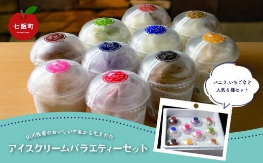 山川牧場こだわりのアイスクリームバラエティセット10個入(10種類) ふるさと納税 人気 おすすめ ランキング 山川牧場 アイスクリーム セット 詰め合わせ 北海道 七飯町  NAN008北海道七飯