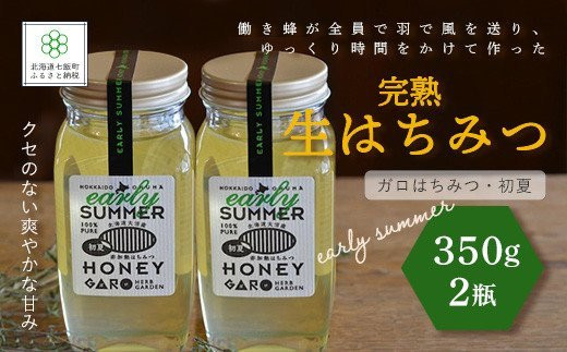 完熟生はちみつ ガロはちみつ・初夏(アカシア)(350g)2瓶セット 大容量サイズ ふるさと納税 人気 おすすめ ランキング はちみつ ガロはちみつ 初夏 アカシア 完熟 生はちみつ 北海道 七飯町