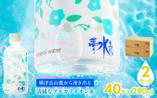 ミネラルウォーター夢水氣(290ml×40本)2セット 天然アルカリイオン水 軟水 【ふるさと納税 人気 おすすめ ランキング 天然アルカリイオン水 天然水 ミネラルウォーター 横津岳山麓 北海道
