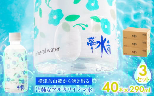 ミネラルウォーター夢水氣(290ml×40本)3セット 天然アルカリイオン水 軟水 【ふるさと納税 人気 おすすめ ランキング 天然アルカリイオン水 天然水 ミネラルウォーター 横津岳山麓 北海道