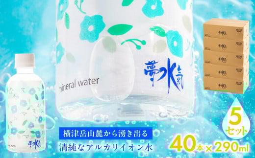 ミネラルウォーター夢水氣(290ml×40本)5セット 天然アルカリイオン水 軟水 【ふるさと納税 人気 おすすめ ランキング 天然アルカリイオン水 天然水 ミネラルウォーター 横津岳山麓 北海道