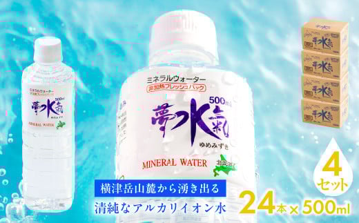 ミネラルウォーター夢水氣(500ml×24本)4セット 天然アルカリイオン水 軟水 【ふるさと納税 人気 おすすめ ランキング 天然アルカリイオン水 天然水 ミネラルウォーター 横津岳山麓 北海道
