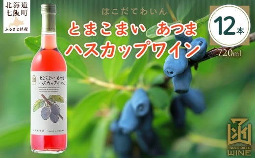 とまこまい あつまハスカップワイン 720ml 12本 【 ふるさと納税 人気 おすすめ ランキング ワイン わいん ハスカップワイン とまこまい あつま セット お酒 アルコール 北海道 七飯町  】 N