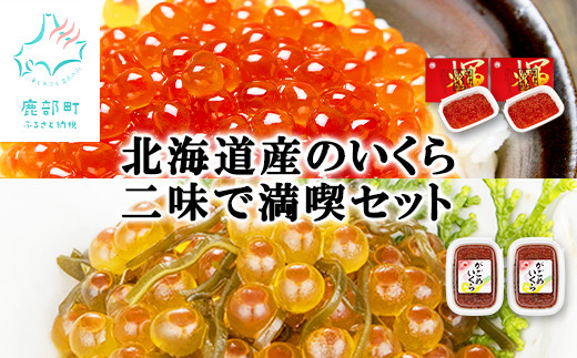 【丸鮮道場水産】北海道産のいくら二味で満喫セット(計480g)北海道鹿部町25000魚介・海産物いくら