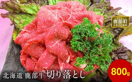 y|݂ӂǎȐԐgIzkCY  ؂藎Ƃ 800gkC13000