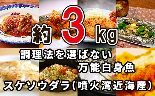 楽しみ方は10通り!メニューに困らない万能白身魚 すけそうだら 約3kg 冷凍 内臓処理済み 鮮魚 地元北海道鹿部町11000魚介・海産物その他 魚介・海産物