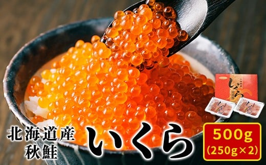 【2024年新物】北海道産いくら 500g(250g×2パック)小分けだから食べやすい! イクラ北海道鹿部町23500魚介・海産物いくら