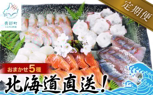 yցz kCY {̂hg5큄荇킹Zbg 500g N4񂨓͂R[XkC52000ECYL