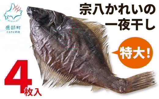 【数量限定】宗八かれいの一夜干し 4枚入 冷凍北海道鹿部町10000魚介・海産物干物