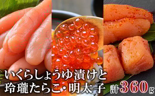kCY120g 炱120g q120g ۑNꐅY  Hׂ Hא؂kC10500ECYqȆ