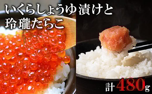 kCY240g 炱240g ۑNꐅY  Hא؂ Hׂ 傤ЂkC15500ECYqȆ