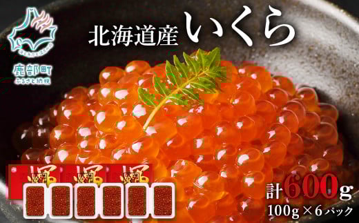 【小分けで便利!】北海道産いくら 600g(100g×6パック)しょうゆ漬け 丸鮮道場水産 小分け 食べきり 食べ切り北海道鹿部町30500魚介・海産物いくら