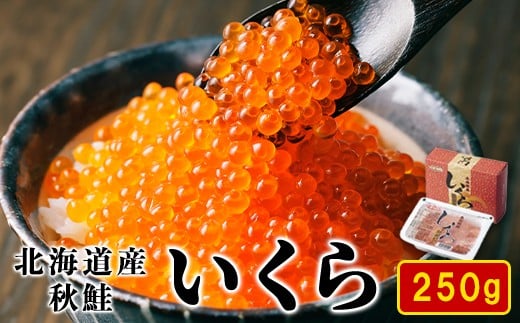 【2024年新物】北海道産いくら 醤油漬け 250g 鮭いくら 秋鮭北海道鹿部町12500魚介・海産物いくら