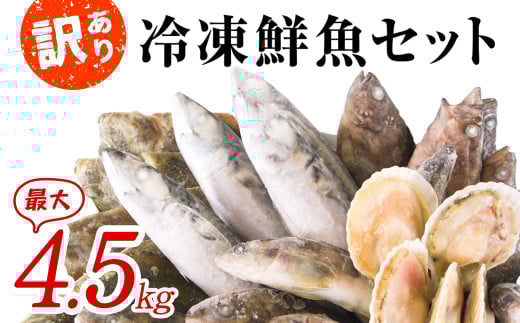 【2025年9月下旬発送】北海道産 冷凍鮮魚セット 最大4.5kg 「漁師応援プロジェクト!」 加熱奨励 一部内臓・鱗処理済み下処理済み おまかせ 魚 さかな 鮮魚 ホタテ サバ ホッケ カレイ 詰め合