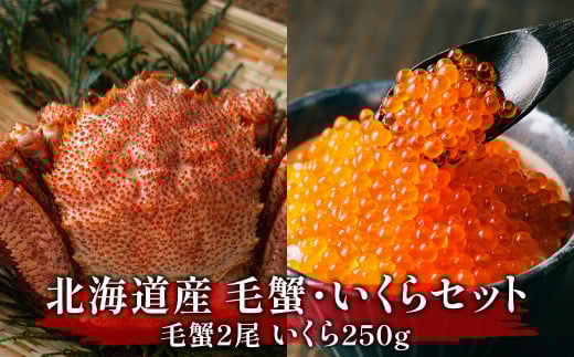 【北海道産】毛蟹いくらセット 毛蟹2尾 いくら250g 海鮮丼 二色丼北海道鹿部町42500魚介・海産物いくら