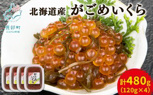 yۑNꐅYzkCY ߂ 120g×4 v480gkC25000ECY