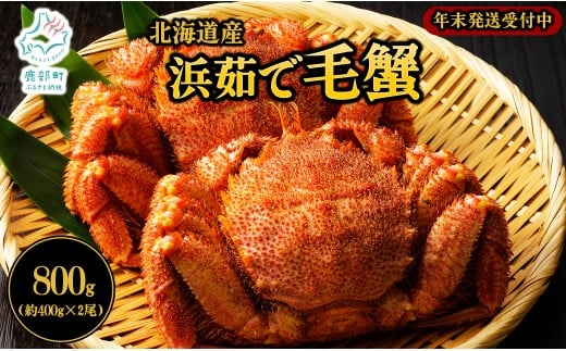 【北海道産】ボイル毛蟹 約800g(400g前後×2尾)蟹 カニ 冷凍【2025年12月下旬発送】北海道鹿部町30000魚介・海産物カニ