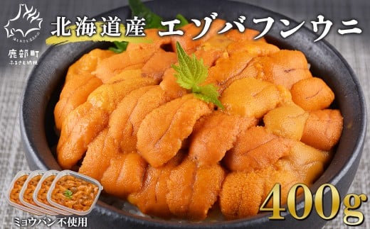 北海道産 ふり塩うに 400g ミョウバン不使用 うに エゾバフンウニ バフンウニ 冷凍保存 うに丼北海道鹿部町90000魚介・海産物イカ・タコ・ウニ
