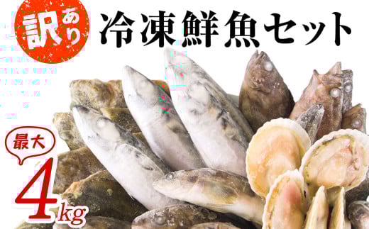 【2026年3月下旬発送】北海道 冷凍鮮魚セット 最大4kg 「漁師応援プロジェクト!」 下処理済み 冷凍 鮮魚 海鮮 海産 地元 ホタテ北海道鹿部町11500魚介・海産物鮮魚
