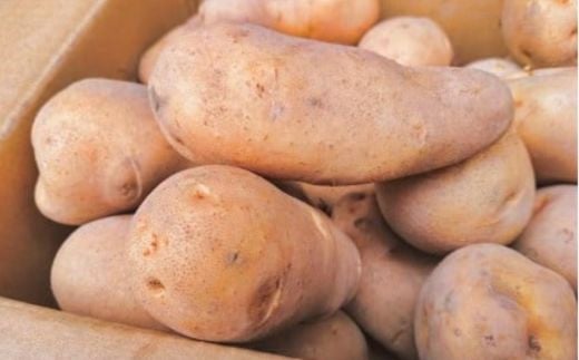【2025年9月下旬より発送】メークイン 厚沢部産 約10kg【規格秀品Mサイズ】 【 ふるさと納税 人気 おすすめ ランキング じゃがいも ジャガイモ メークイン カレー コロッケ 煮物 北海道 厚